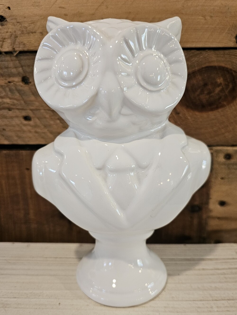 White Ceramic Owl In Suit Bust Figurine